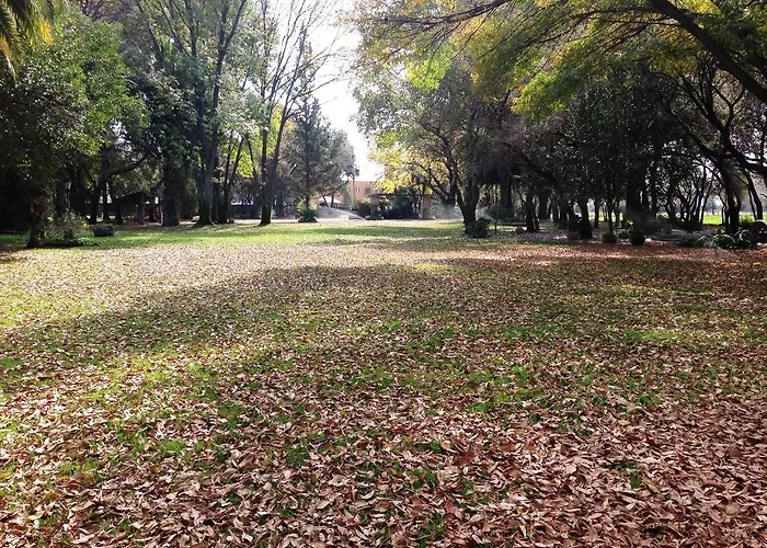 Hotel Rancho El 7