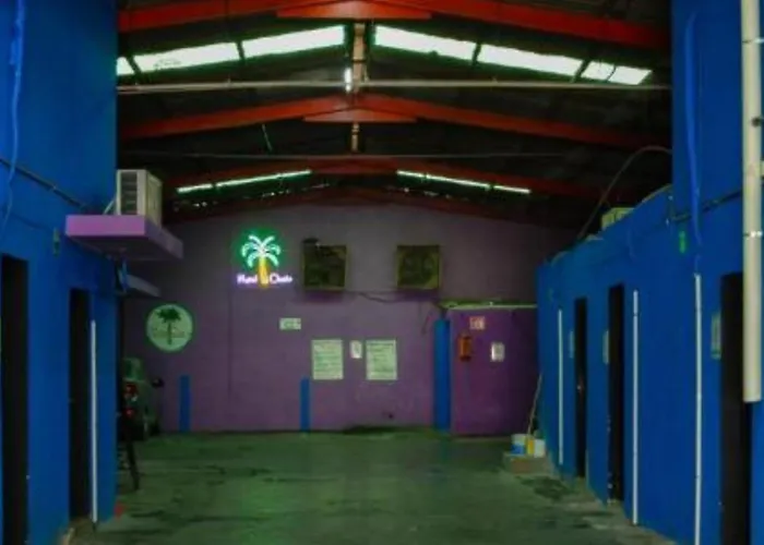 Oyo Oasis