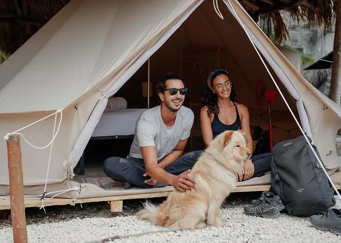 Mapache Hostel