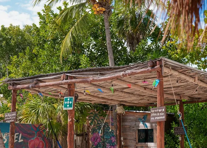Mapache Hostel&Camping