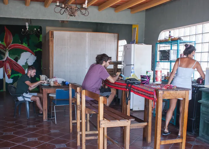 Hostal Enjoy Vallarta 19