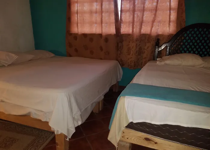 Hostal Enjoy Vallarta 19