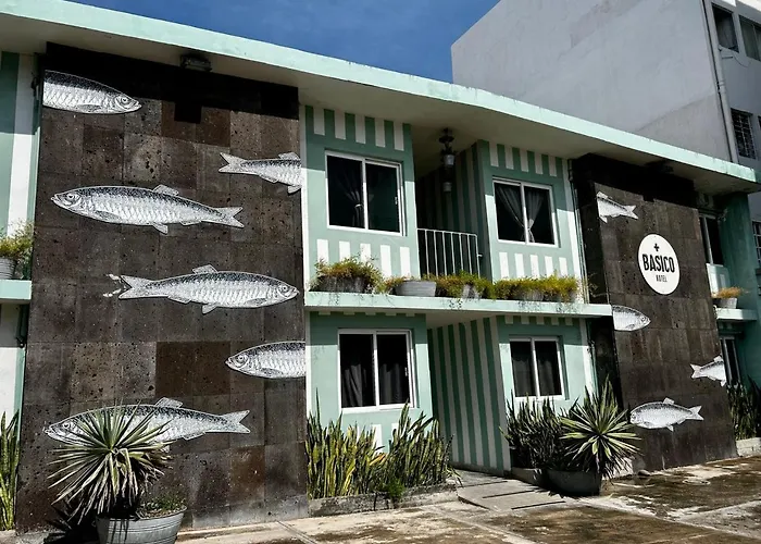 Mas Basico