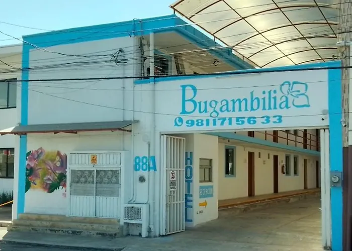 Bugambilia