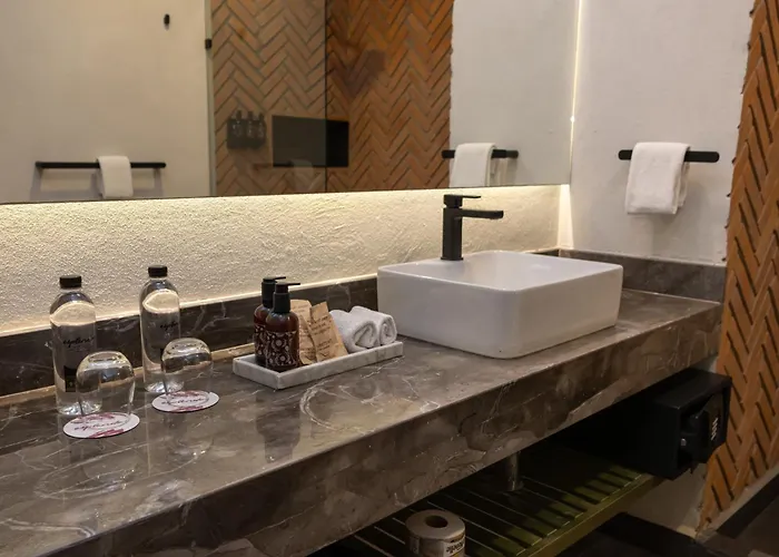 Hotel Esplendor by Wyndham San Luis Potosi Monarca