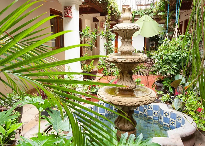 Hotel Dainzu