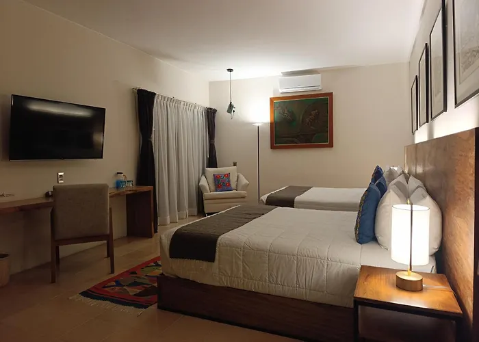Nardazul Casa De Sueños