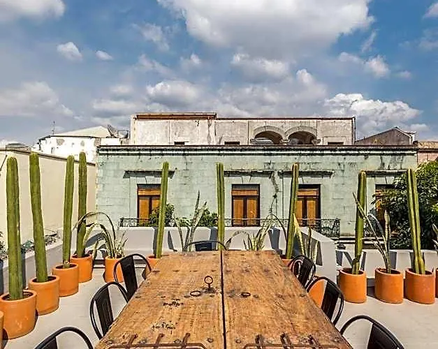 Casa Olie