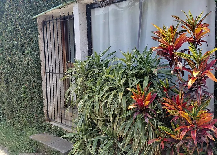 Posada Casa Topiltzin
