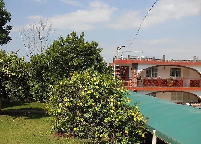 Los Cedros