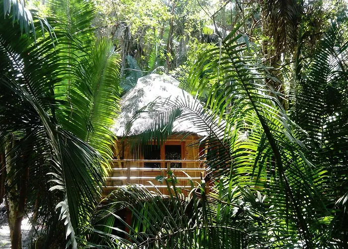 Aldea Bambú