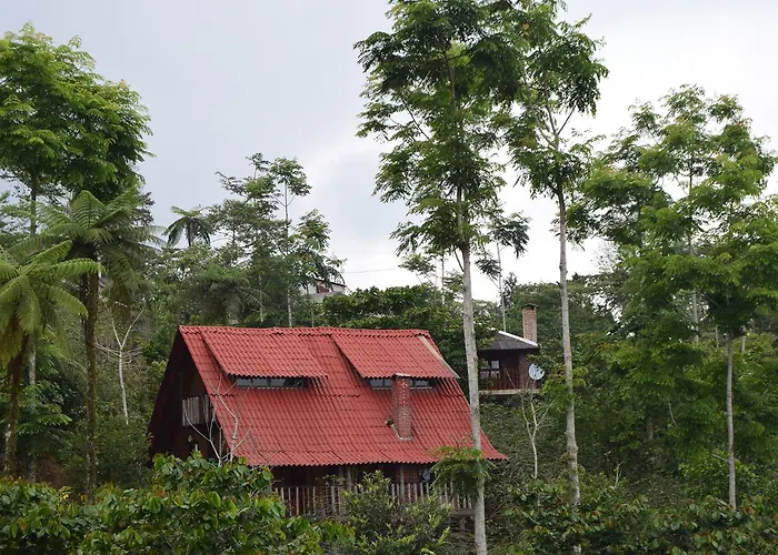 Cabañas los Cedros
