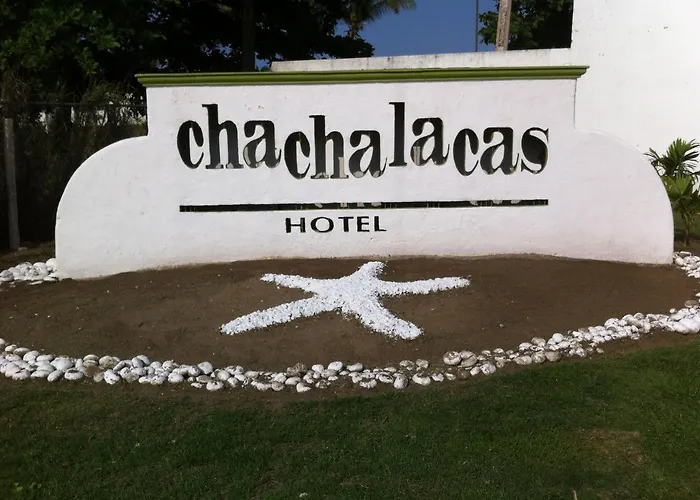 Chachalacas