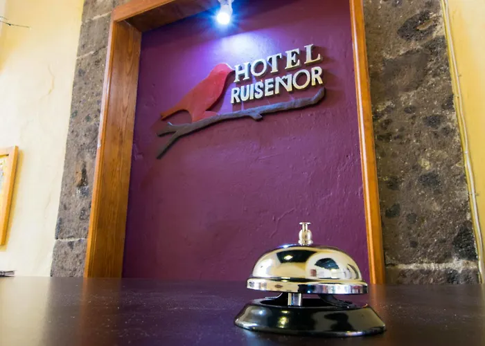 Hotel Ruisenor