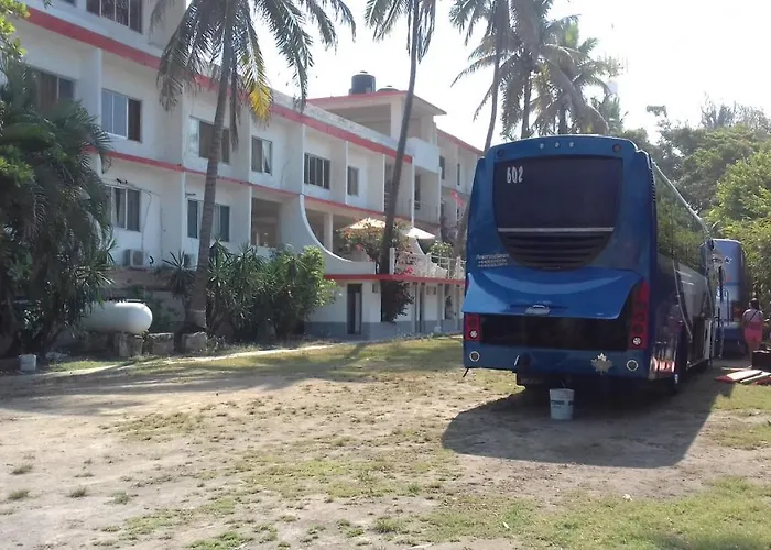 Delfin Playa Azul
