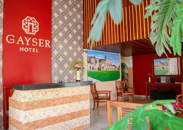 Gayser